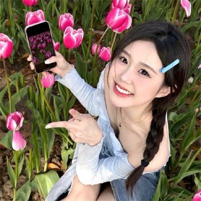 雌雄双谍 海报